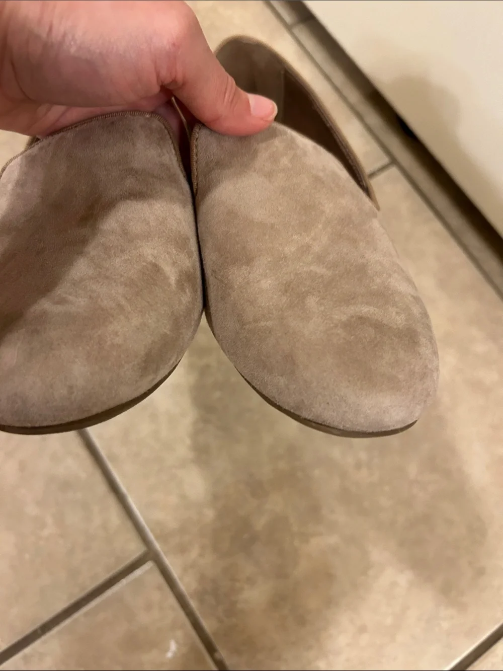 Birdies 8 Taupe Suede Loafers